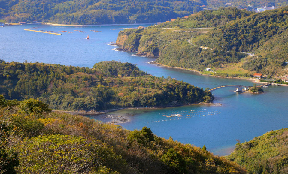 隠岐知夫里島