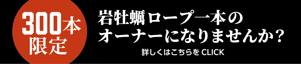 岩牡蠣ロープ1本のオーナーになりませんか？